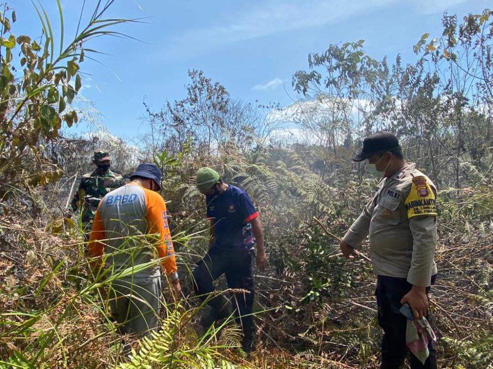 Karhutla Seluas 1,6 Ha di Wilayah Penajam Paser Utara Padam