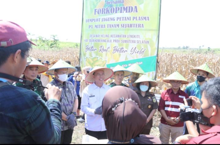 PLH Bupati OKU Teddy Meilwansyah Hadiri Acara Panen Perdana Demplot Jagung Petani Plasma di Desa Way Heling