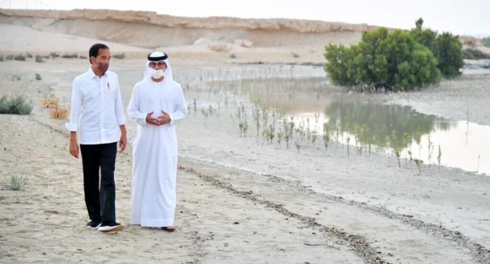 Presiden Jokowi Tanam Mangrove di Abu Dhabi