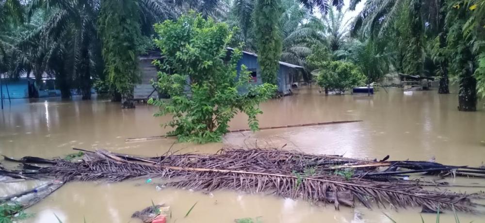 Sungai Lae Cinendang Meluap, 90 Rumah di Aceh Singkil Terendam Banjir
