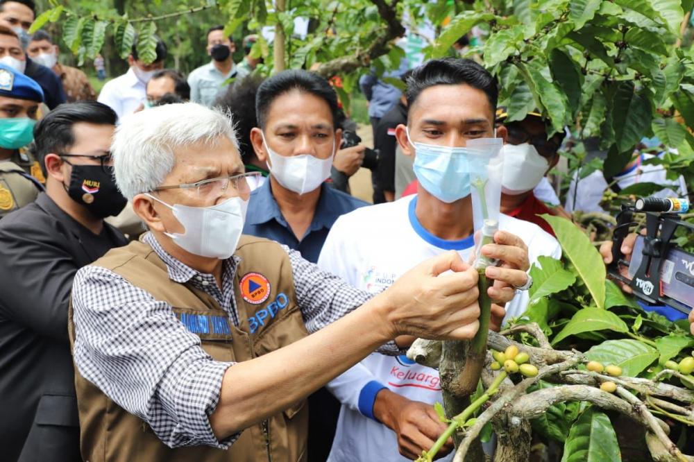 Wagub Mawardi Yahya Launching Gerakan Satu Juta Stek Batang Pucuk Kopi di Pagar Alam