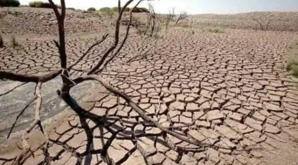 BMKG Ingatkan Dampak El Nino, Ini Langkah yang Harus Dilakukan