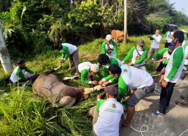 DPW PPP Sumsel Bagikan 450 Paket Daging Hewan Kurban