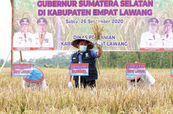 Dongkrak Produksi Padi di Empat Lawang, Herman Deru Ajak Petani Disiplin Kelola Sawah