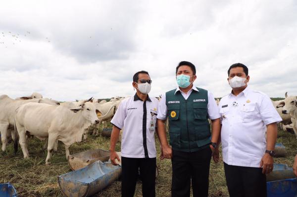 Gubernur Herman Deru Berdayakan Alumni SMK SPPN Sembawa