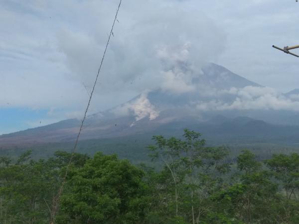 Gunung Semeru Kembali Luncurkan Awan Panas Guguran Hingga 5.000 Meter