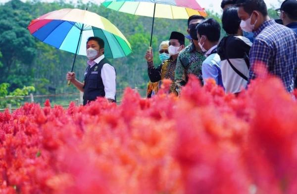 HD: Jadikan Kampoeng Ya Saman Cindo Sebagai Wisata Edukasi Pertanian