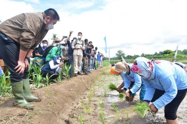 Herman Deru Ingin Sektor Pertanian Menjadi Ikon Provinsi Sumsel
