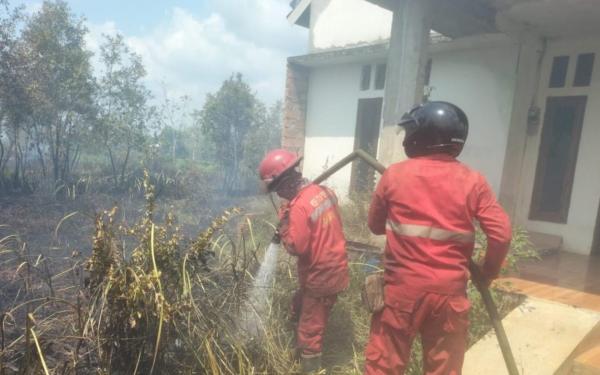 Kebakaran Hebat Landa 12 Hektare Lahan di Sungai Rambutan Ogan Ilir, Api Nyaris Capai Permukiman Warga