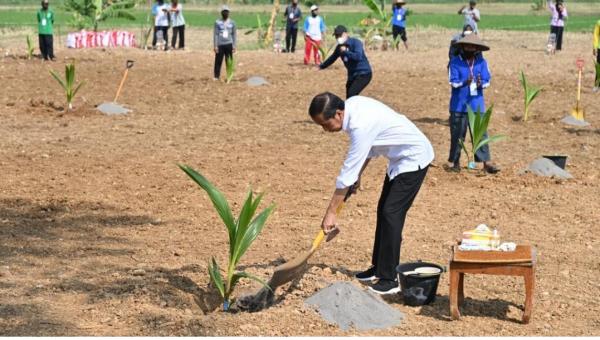 Presiden : Manfaatkan Lahan Pekarangan dan Lahan Tak Produktif Antisipasi Krisis Pangan