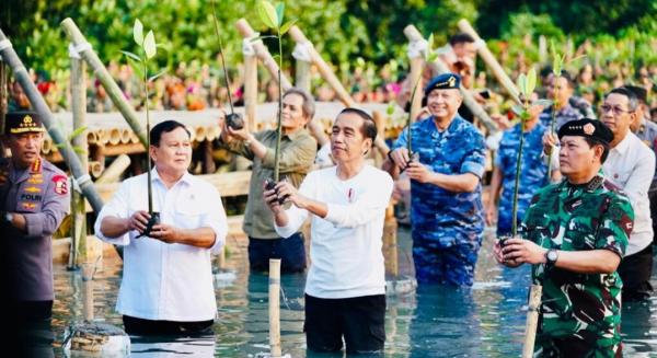 Presiden Jokowi : Pentingnya Jaga Hutan Mangrove
