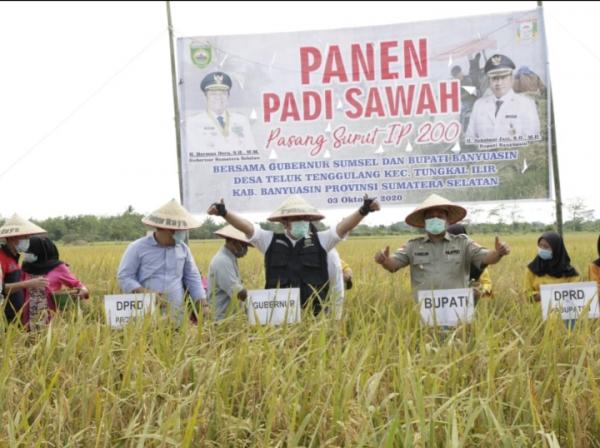 Semangati Petani, Herman Deru Panen Raya di Banyuasin