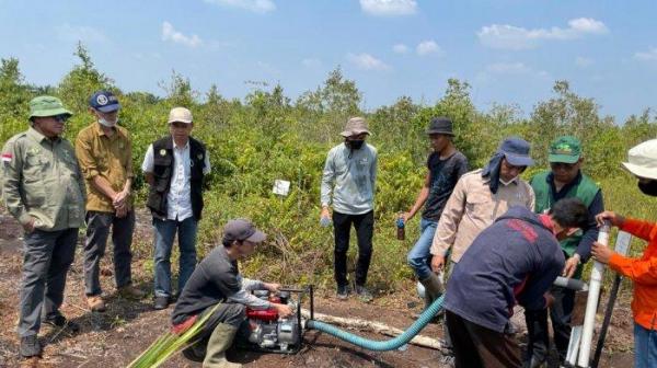 TRGD Sumsel : Tidak Ada Lahan Gambut Terbakar di OI